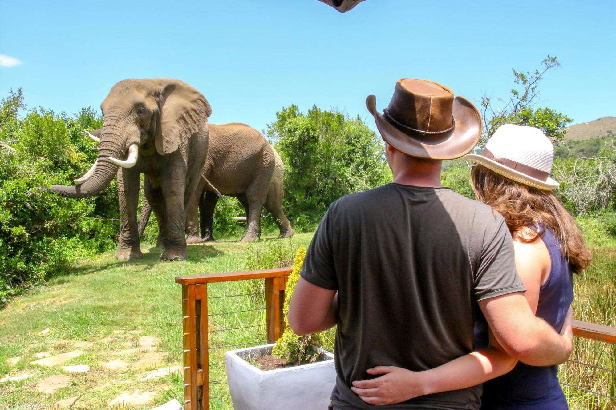 Barefoot Addo Elephant Lodge מראה חיצוני תמונה