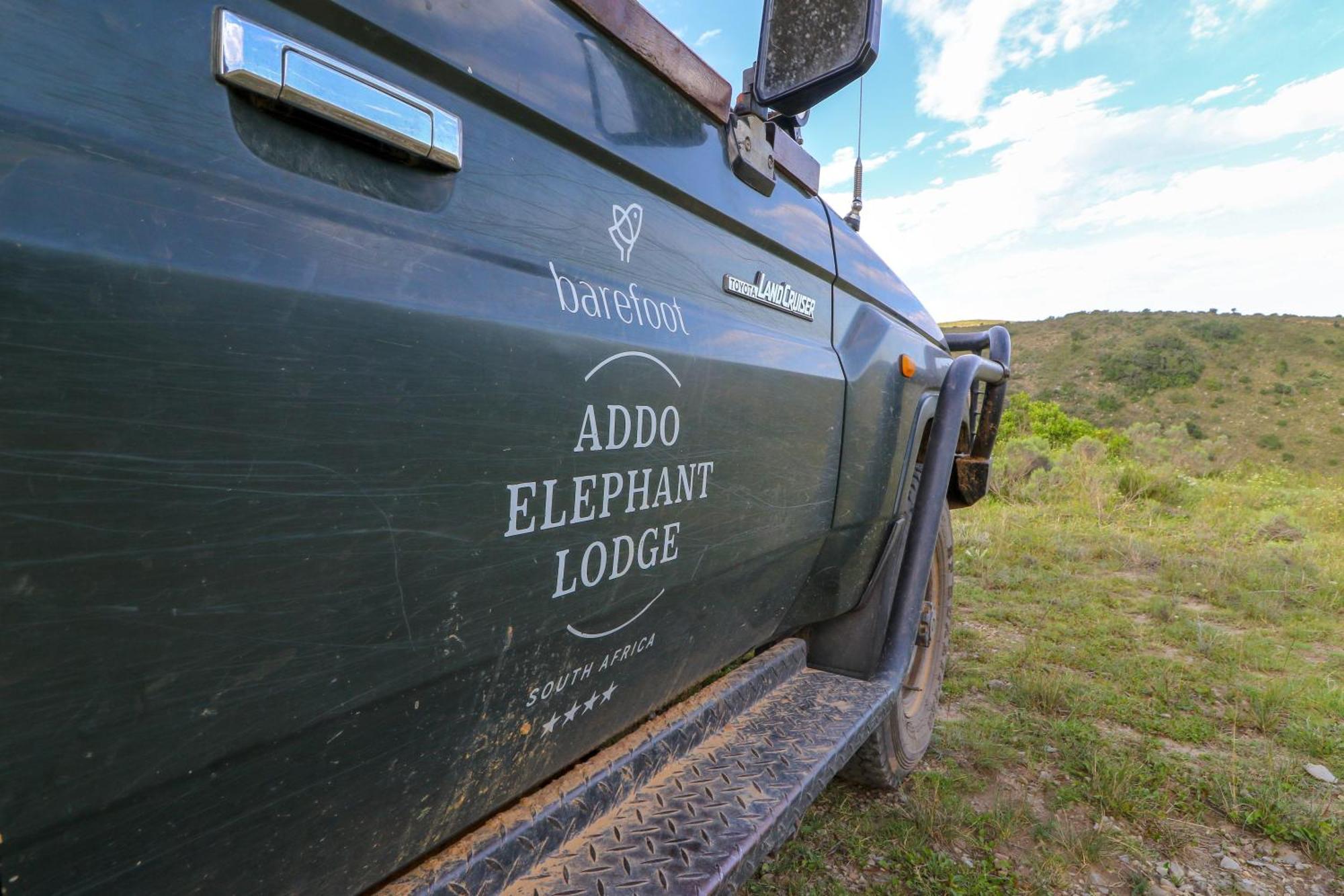 Barefoot Addo Elephant Lodge מראה חיצוני תמונה